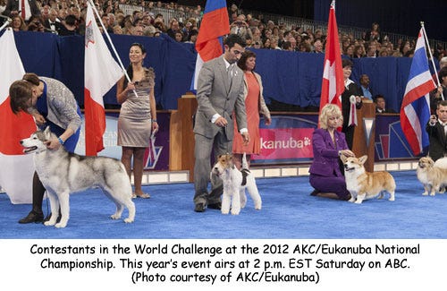 akc eukanuba